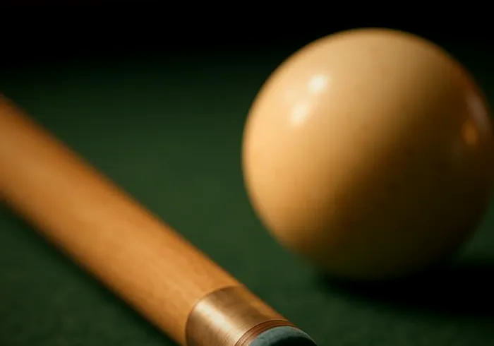 Pool Cue Sets: Best Pool Sticks for a Home Table