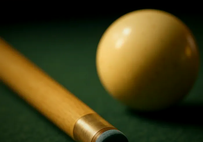 Schon Cues: Collections, Prices and Are They Worth It