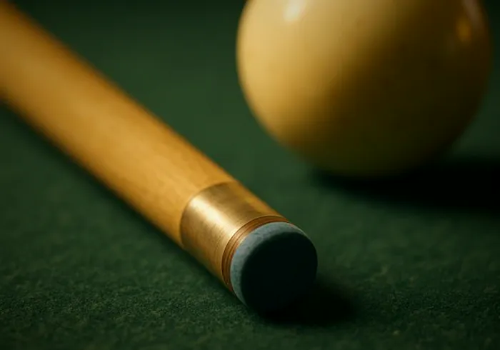 Best Snooker Cues: Snooker Cue Sticks, Tips and Cases